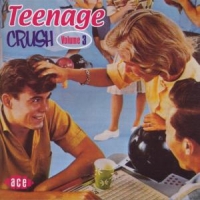 Various Teenage Crush 3 -28tr-