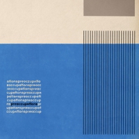 Preoccupations Preoccupations (limited Clear)