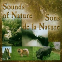 Various Frogs Sounds Of Nature 2