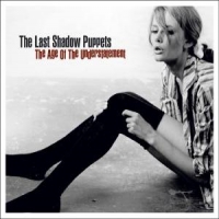 Last Shadow Puppets Age Of The Understatement