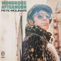 Molinari, Pete Wondrous Afternoon