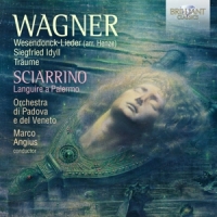 Orchestra Di Padova E Del Veneto/marco Angius/sara Mingardo Wagner: Wesendonck-lieder