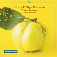 Telemann, G.p. Trios & Quartets