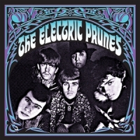 Electric Prunes, The Stockhom 67