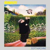 Soft Machine Bundles