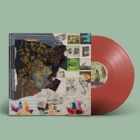 Animal Collective Time Skiffs -coloured-