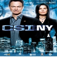 Tv Series Csi:new York-season 8-1