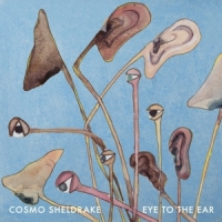 Cosmo Sheldrake Eye To The Ear