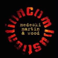 Medeski / Martin / Wood Combustication (back To Black Ltd.e