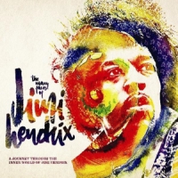 Hendrix, Jimi.=v/a= Many Faces Of Jimi..