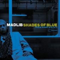 Madlib Shades Of Blue