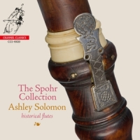 Solomon, Ashley Spohr Collection