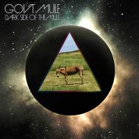 Gov't Mule Dark Side Of The Mule