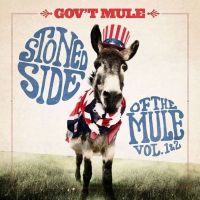 Gov't Mule Stoned Side Of The Mule..