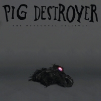Pig Destroyer Octagonal Stairway -coloured-