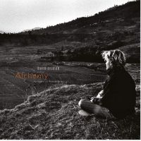 Sylvian, David Alchemy / An Index Of Possibilities (180gr + Downl)