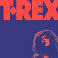 Bolan, Marc & T. Rex Alternative Singles Collection