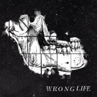 Wrong Life Wrong Life