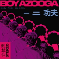 Boy Azooga 1 2 Kung Fu!