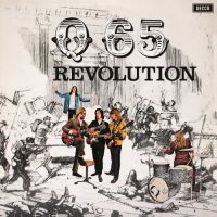 Q 65 Revolution