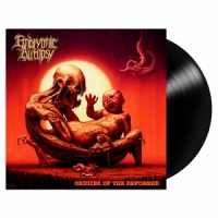 Embryonic Autopsy Origins Of The Deformed