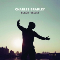 Bradley, Charles Black Velvet