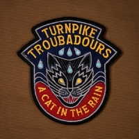 Turnpike Troubadours A Cat In The Rain