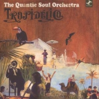 Quantic Soul Orchestra Tropidelico