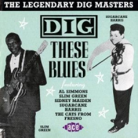 Various Dig These Blues -22 Tr.-