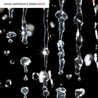 Harrison, Gavin / 05ric Drop -digi/reissue-