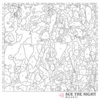 Sue The Night Mosaic