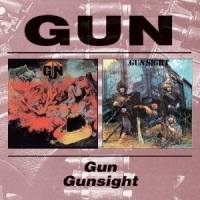 Gun Gun/gunsight