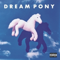 Dream Pony Suspicion Today