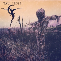 Tau Cross Tau Cross