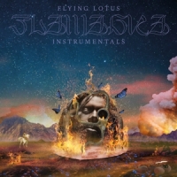 Flying Lotus Flamagra (instrumentals) / Incl. Slipmat