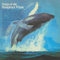 Various Songs Of The Humpback Wha