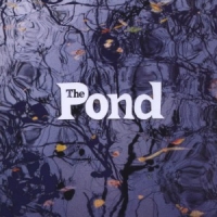 Pond Pond