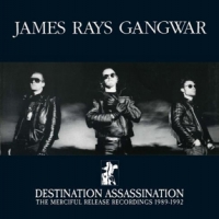 Ray, James -gangwar- Destination Assasination