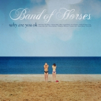 Band Of Horses Why Are You Ok? -limited Blauw-