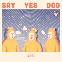 Say Yes Dog Drai