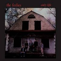 Feelies Only Life -reissue-