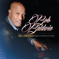 Baldwin, Bob Mellowonder- Songs In The Key Of Stevie