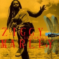 Marley, Ziggy Dragonfly