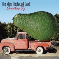 Fleetwood, Mick -band- Something Big