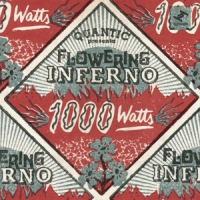 Flowering Inferno / Quantic Presents 1000 Watts