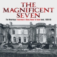 Waterboys Magnificent Seven (cd+book)