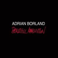 Borland, Adrian Beautiful Ammunition
