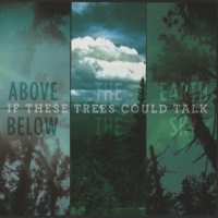 If These Trees Could Talk Above The Earth Below The Sky