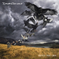 Gilmour, David Rattle That Lock -cd+dvd-