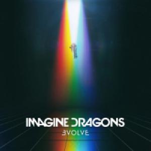 Imagine Dragons Evolve -limited Clear Vinyl-
